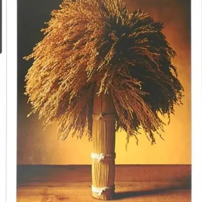 Dennis Dubiel “Wheat Sheaf” Market Gallery Art Print