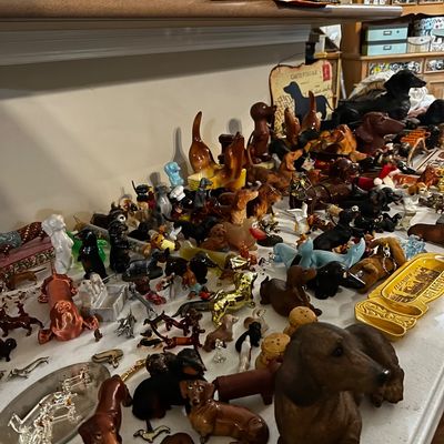 Sale Photo Thumbnail #24: Wiener dog lovers