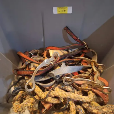 tub with assorted tack and a feed bucket