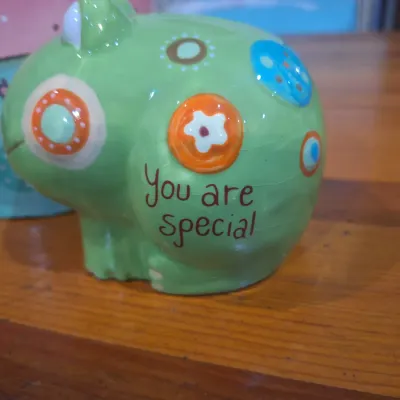 Green Ceramic Frog “You Are Special” Piggy Bank with Decorative Gift Box