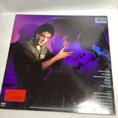 Rick Springfield Record