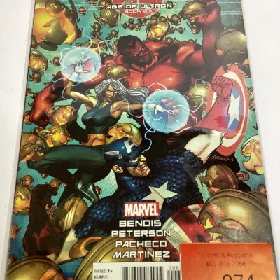 Marvel Age of Ultron #6 Comic Book Bendis Peterson Pacheco Martinez 2013