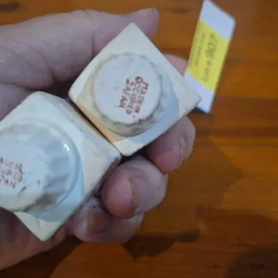 Vintage Made in Occupied Japan Porcelain Floral Salt & Pepper Shaker Set