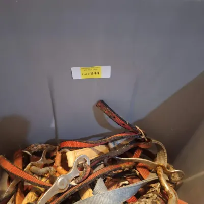 tub with assorted tack and a feed bucket