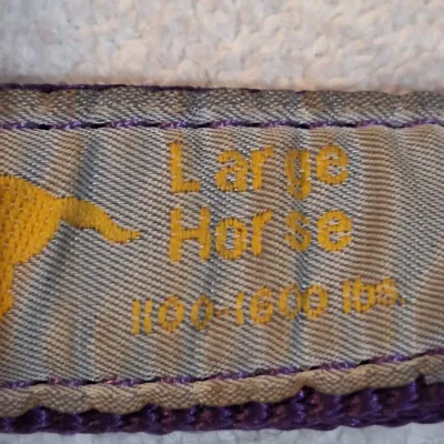Cashel Crayton Purple Nylon Horse Halter – Large Horse 1100–1600 Lbs Brass Hardware