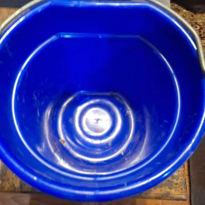 tub with assorted tack and a feed bucket
