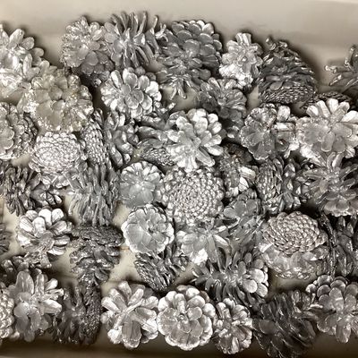 Bulk Lot of Silver Painted Pinecones for Holiday Decorating