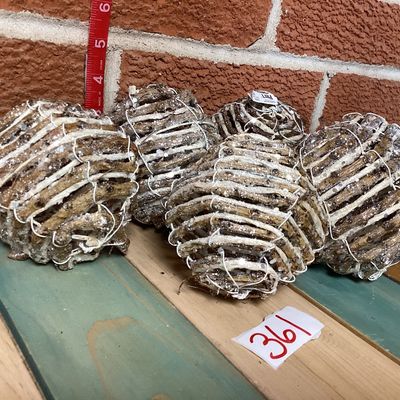 Pier 1 Glittery Twig Decorative Spheres - Set of 6