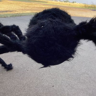 2nd Pair of Giant Fuzzy Halloween Spider Props