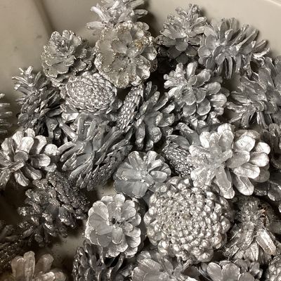 Bulk Lot of Silver Painted Pinecones for Holiday Decorating
