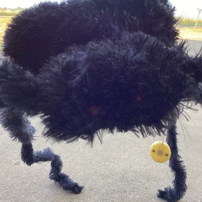 Pair of Giant Fuzzy Black Halloween Spiders
