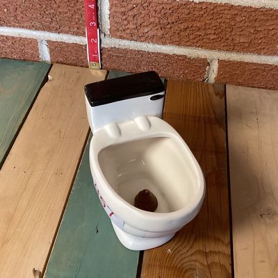 Typo Ceramic Toilet Mug with Novelty Swirl Detail