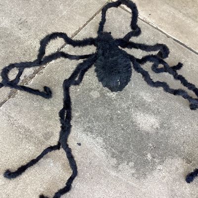 Pair of Giant Fuzzy Black Halloween Spiders