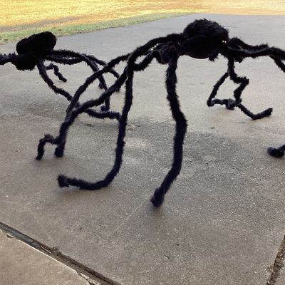 Pair of Giant Fuzzy Black Halloween Spiders