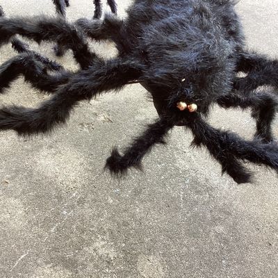 Pair of Giant Fuzzy Black Halloween Spiders