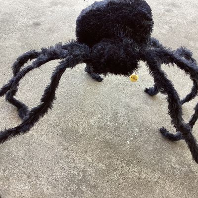 Pair of Giant Fuzzy Black Halloween Spiders