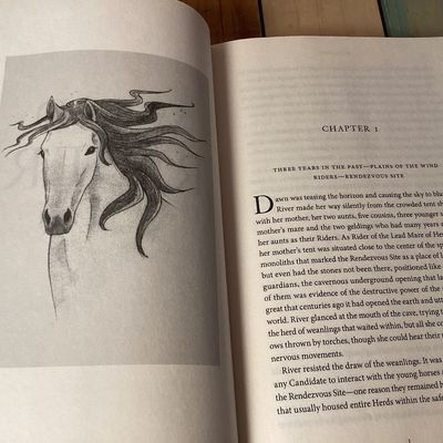 P.C. Cast Fantasy Novels: Sun Warrior & Wind Rider Hardcovers