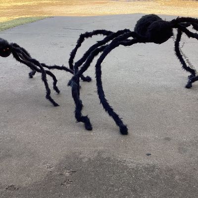 2nd Pair of Giant Fuzzy Halloween Spider Props