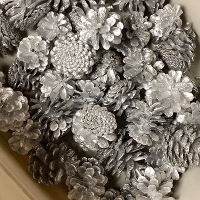 Bulk Lot of Silver Painted Pinecones for Holiday Decorating
