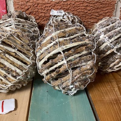 Pier 1 Glittery Twig Decorative Spheres - Set of 6