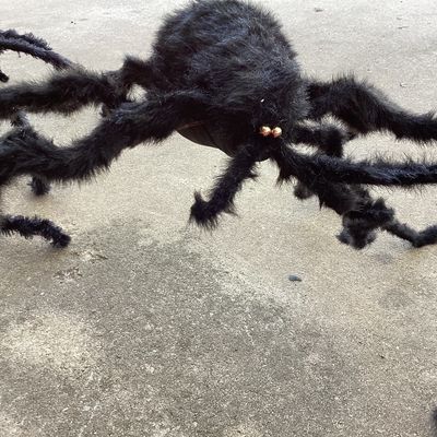 Pair of Giant Fuzzy Black Halloween Spiders
