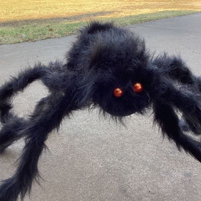 2nd Pair of Giant Fuzzy Halloween Spider Props
