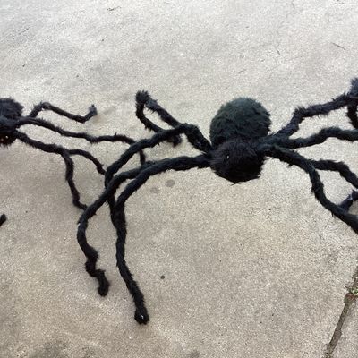 2nd Pair of Giant Fuzzy Halloween Spider Props