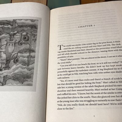 P.C. Cast Fantasy Novels: Sun Warrior & Wind Rider Hardcovers
