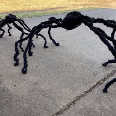 2nd Pair of Giant Fuzzy Halloween Spider Props