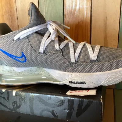 Nike LeBron XVII Low 'Particle Grey' Basketball Shoes - Men's Size 11