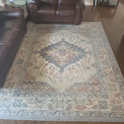 Large Decorative Area Rug