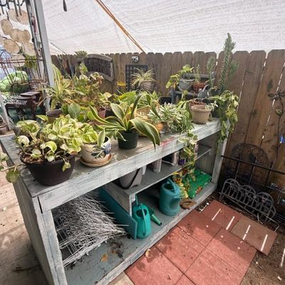 Sale Photo Thumbnail #114