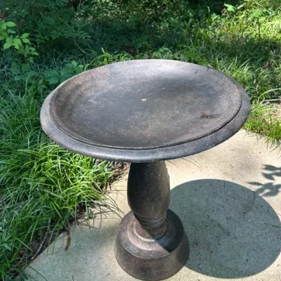 Metal Birdbath 20w X 25t