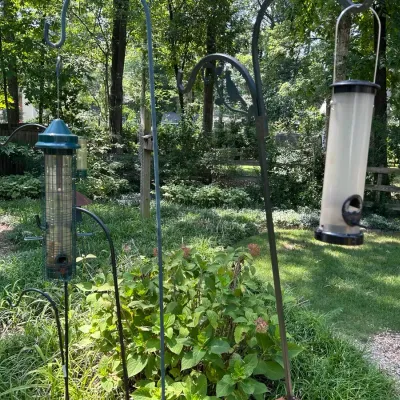 Assortment Of Shepherd's Hooks and Bird Feeders 