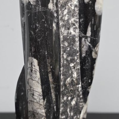 Sale Photo Thumbnail #133: Polished Orthoceras Fossil Statue