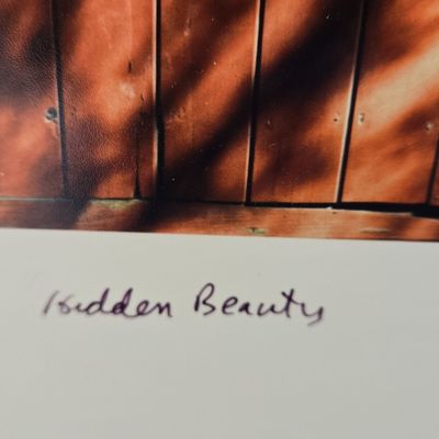 Sale Photo Thumbnail #298: Hidden Beauty, Photographic Print by C. Pshaw (2010)