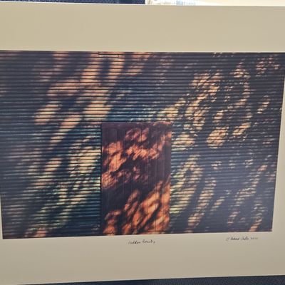 Sale Photo Thumbnail #296: Hidden Beauty, Photographic Print by C. Pshaw (2010)