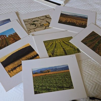 Sale Photo Thumbnail #117: Collection of Matted Photographic Prints of Wine Country Landscapes