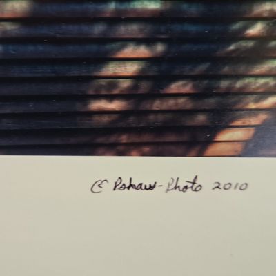 Sale Photo Thumbnail #297: Hidden Beauty, Photographic Print by C. Pshaw (2010)