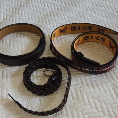 Assorted Belt Collection