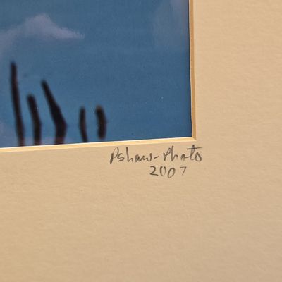 P. Shaw Snowy Egret - Egretta Thula Limited Edition Photograph