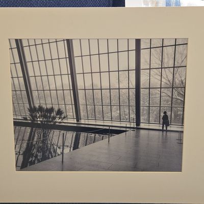 Philip M. Shaw, 'View on Central Park from the Temple of Dendur' Monochrome Print
