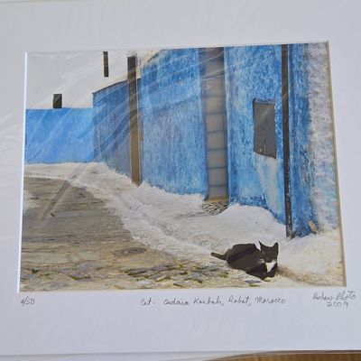 Sale Photo Thumbnail #172: Limited Edition Photograph - Cat, Oudaias Kasbah, Rabat, Morocco