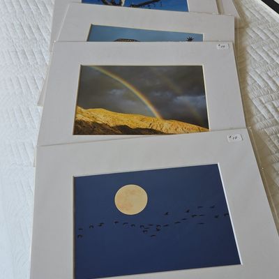 Sale Photo Thumbnail #396: Collection of Matted Photographic Prints - Nature and Wildlife
