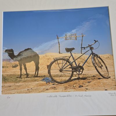 Sale Photo Thumbnail #239: Sustainable Transportation - Erfoud, Morocco by Pshaw-Photo