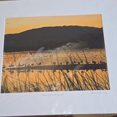 Sale Photo Thumbnail #299: Snow Geese at Sunset, Limited Edition Photograph by R. Shaw