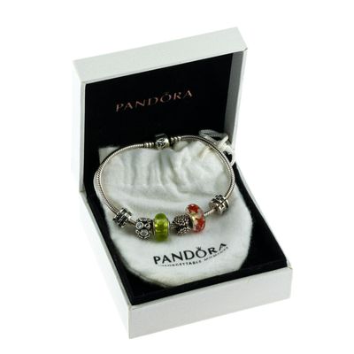 Pandora Sterling Silver Charm Bracelet