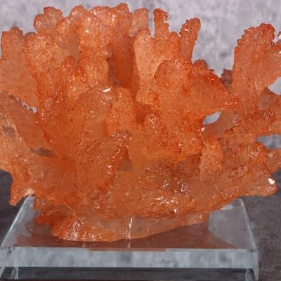 ORANGE CORAL RESIN STATUE W/ ACRYLIC BASE