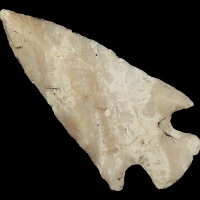 1 1/2" Bird Point, Cass Co., Illinois