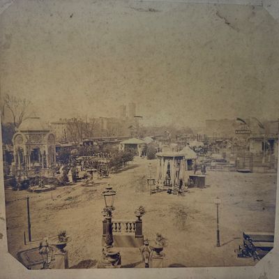 Sale Photo Thumbnail #109